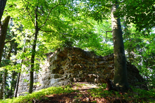 Ruine in der Wildnis photo