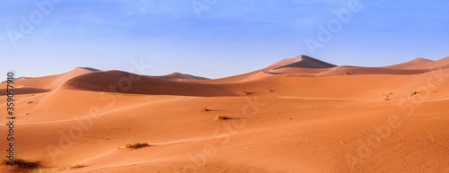 Obraz na plátne Sand Dune in the Sahara / In the Sahara Desert, sand dunes to the horizon, Morocco, Africa