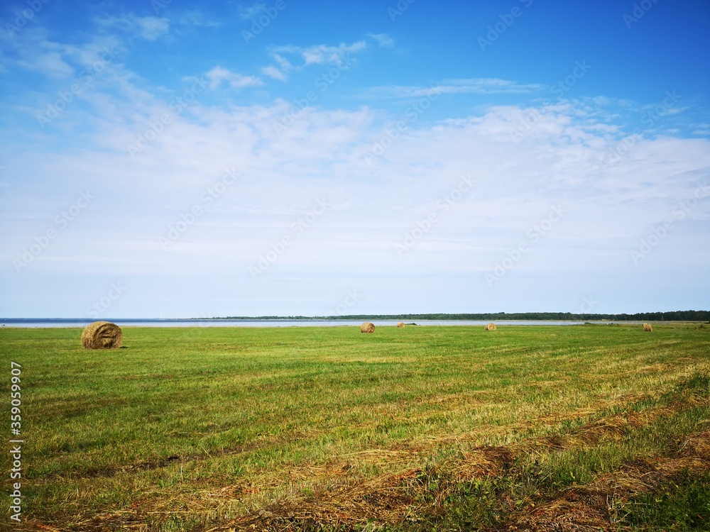 Hay balls on a field, Saaremaa
