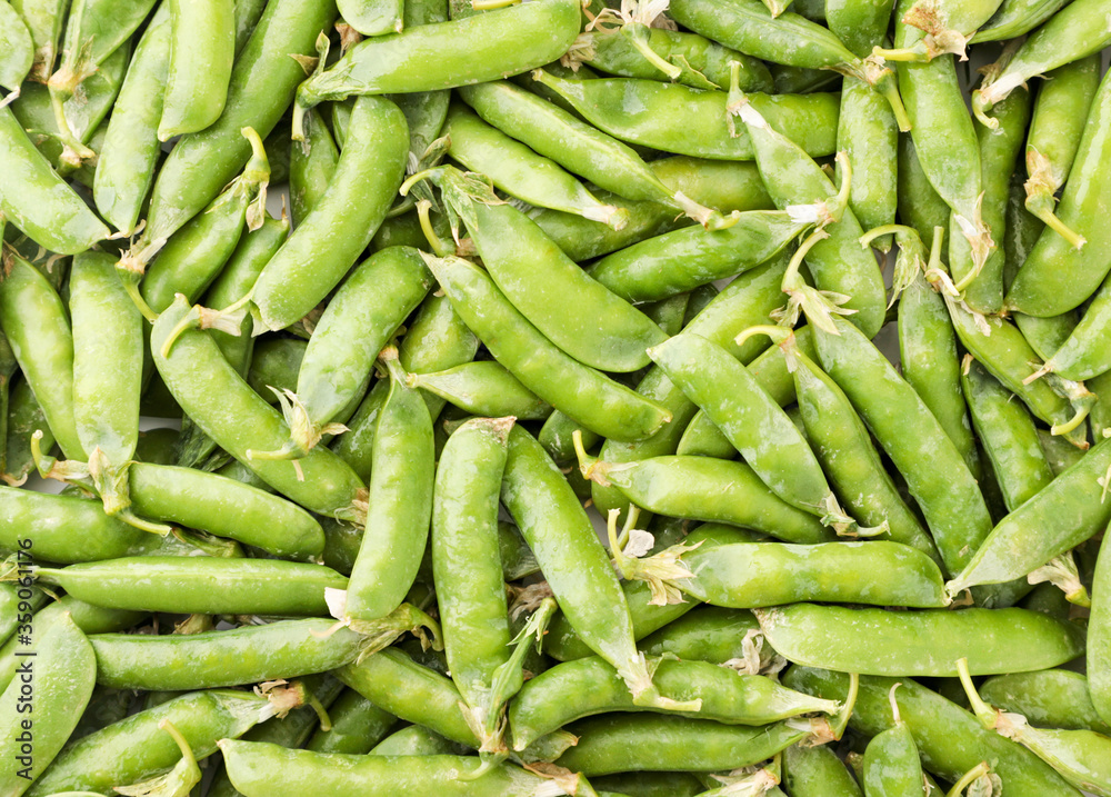 Peas in the pods. Background peas in pods Peas in the pods. Background peas in pods