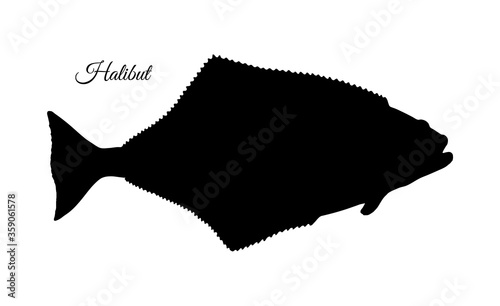 Fototapeta Naklejka Na Ścianę i Meble -  Ink sketch of halibut.