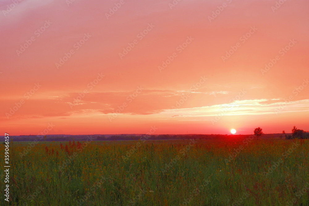 beautiful red sunset over the field