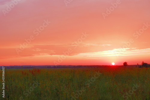 beautiful red sunset over the field © Gennady