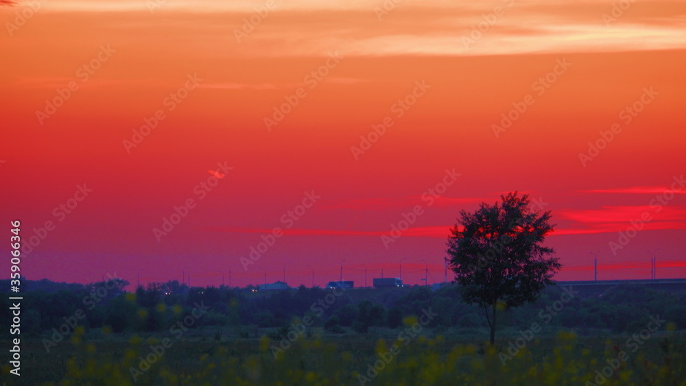 a lone tree against a red sunset