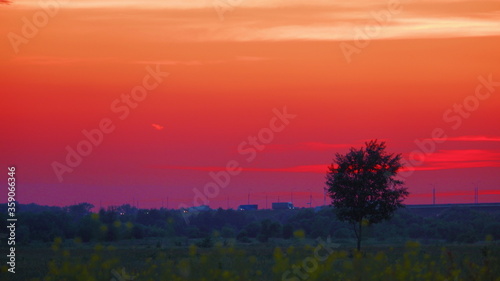 a lone tree against a red sunset