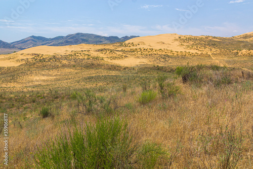 Sarykum (the largest sand dune in Eurasia) in Dagestan Nature Reserve near Makhachkala city, Russia