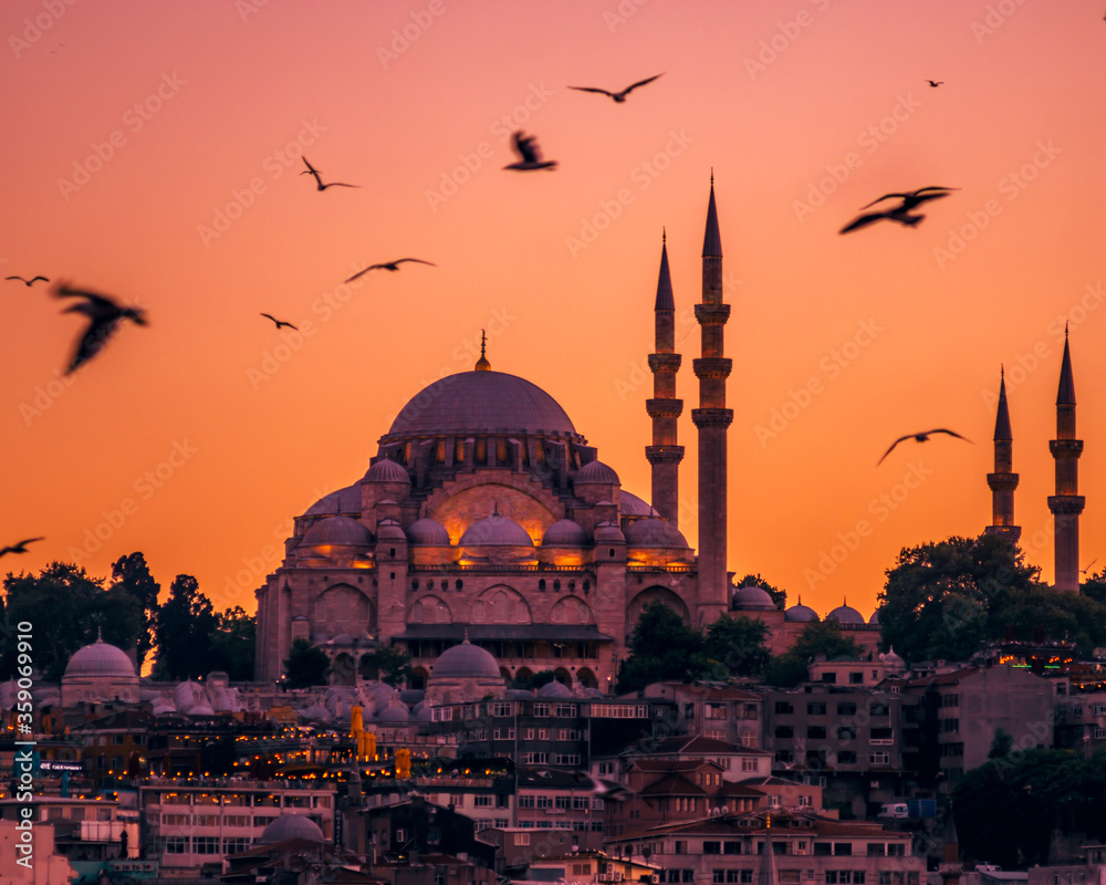 Fototapeta premium a mosque at night Istanbul