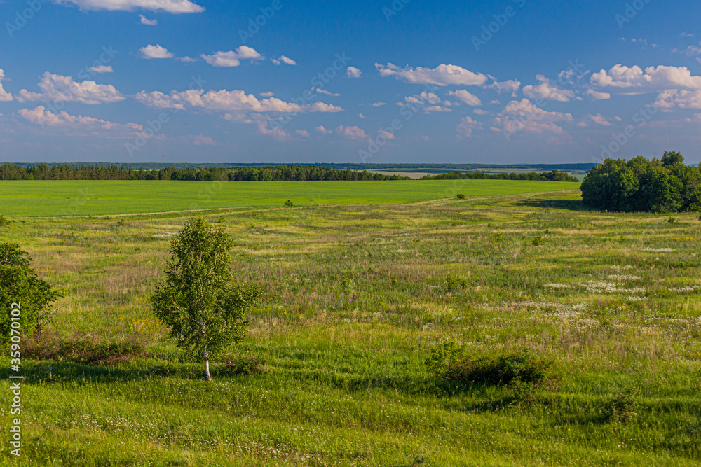 Landscape of Russia in Volgograd Oblast region