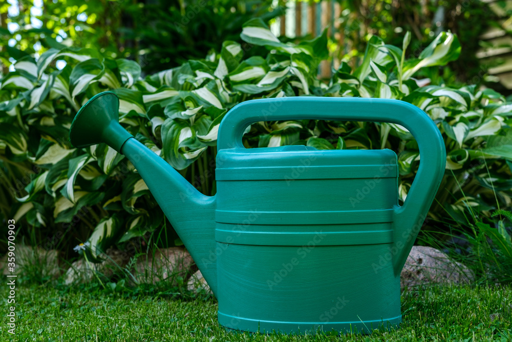 A large green watering can stands on the grass next to a flower bed in which Khost flowers grow. A large green watering can stands on the grass next to a flower bed in which Khost flowers grow.