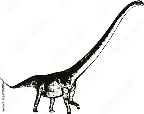 Mamenchisaurus dinosaur walk isolated in white background