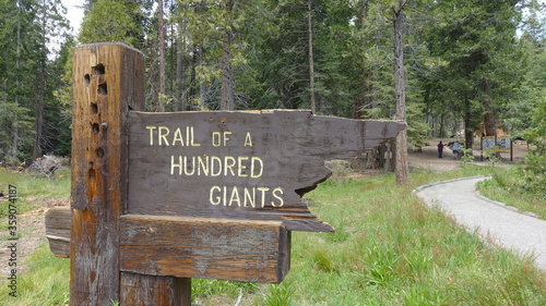 Sign at the entrance to the Trail of 100 Giants in Sequoia National Forest 
