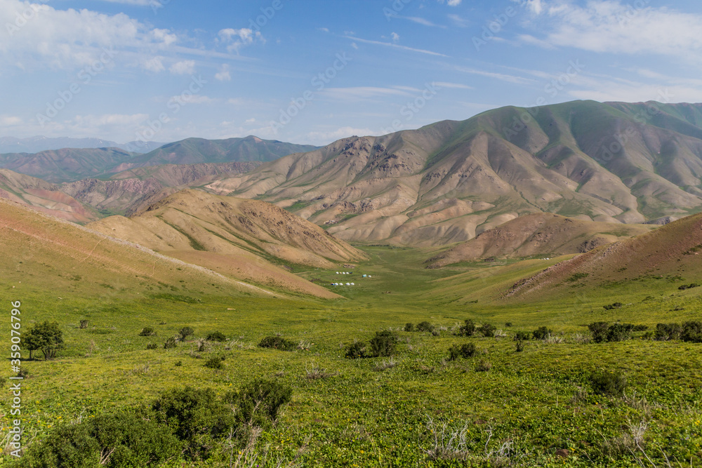 Green valley near Song Kul lake, Kyrgyzstan