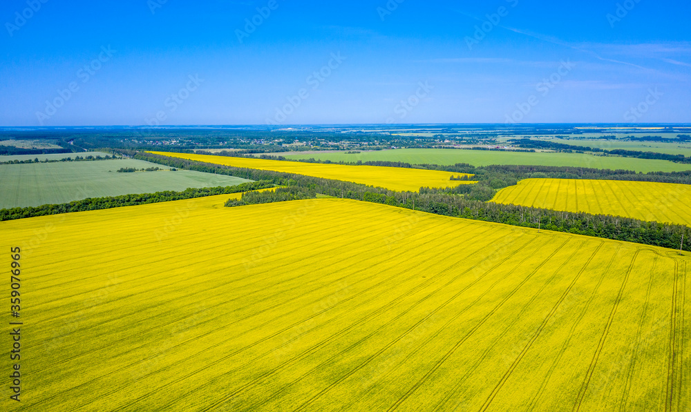 Aerial photo, fields of bright yellow flowering rapeseed extend to the horizon