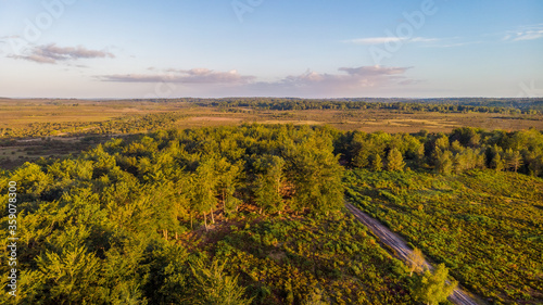 An aerial view of the New Forest with heartland  trees at golden hour under a majestic blue sky and white clouds