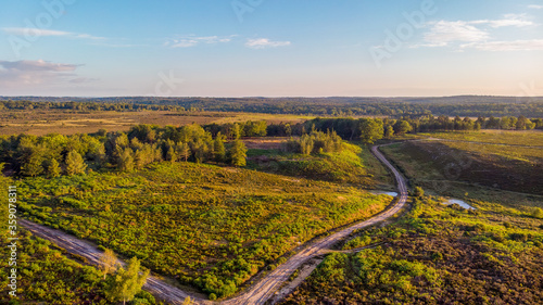 An aerial view of the New Forest with heartland  trees at golden hour under a majestic blue sky and white clouds