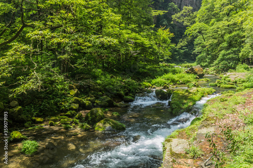 View of Golden Whip stream in Zhangjiajie National Forest Park in Hunan province, China