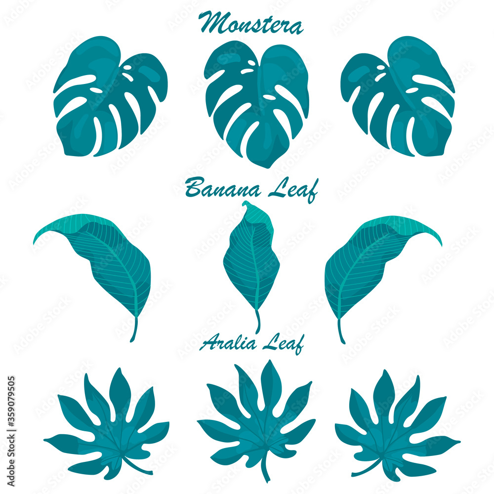 Tropical palm leaves set isolated on white background Tropical palm leaves set isolated on white background