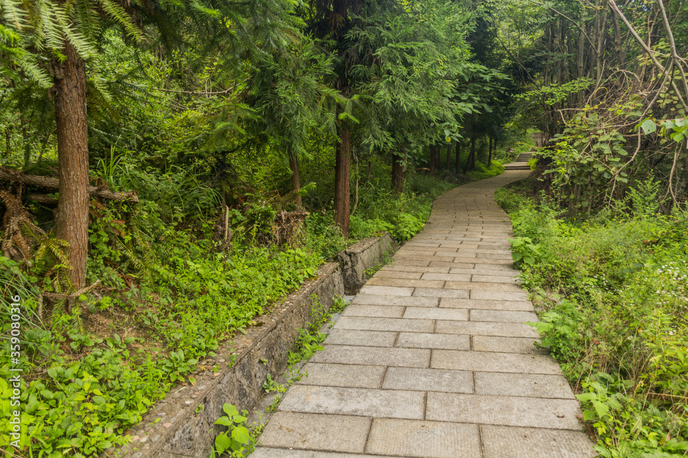 Walking path in Wulingyuan Scenic and Historic Interest Area in Zhangjiajie National Forest Park in Hunan province, China