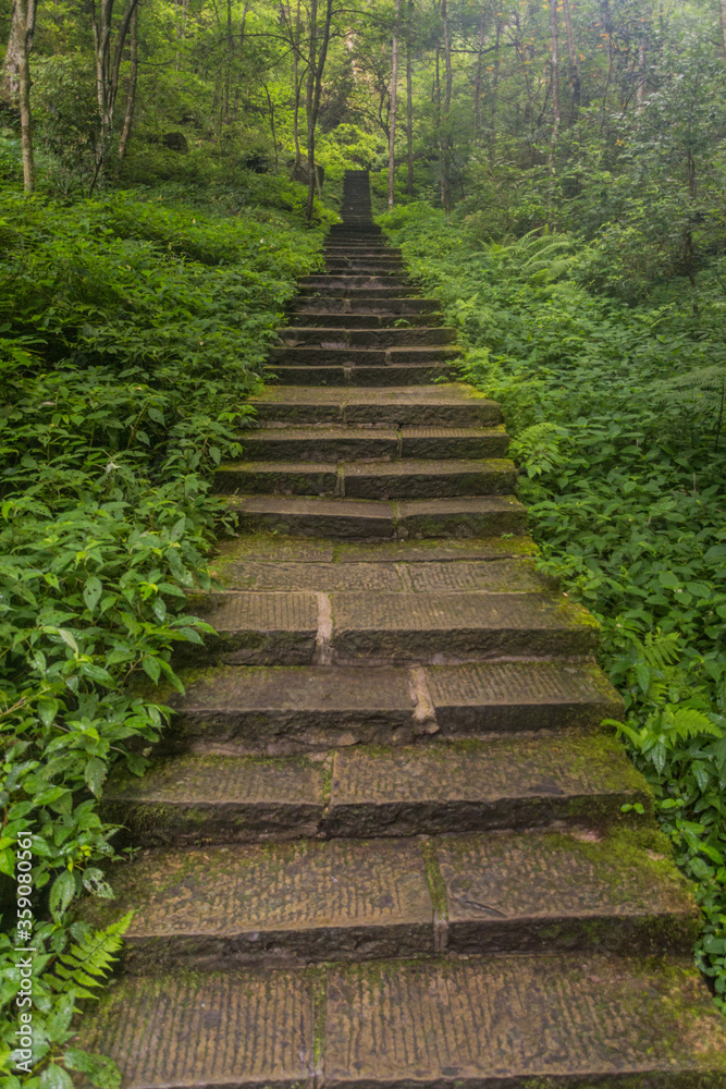 Obraz premium Stone steps in Wulingyuan Scenic and Historic Interest Area in Zhangjiajie National Forest Park in Hunan province, China