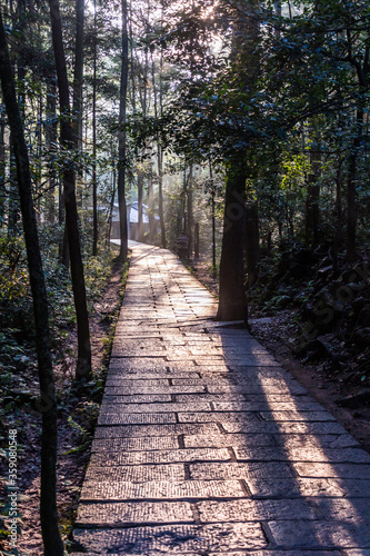 Morning view of a path in Wulingyuan Scenic and Historic Interest Area in Zhangjiajie National Forest Park in Hunan province, China © Matyas Rehak