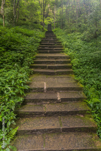 Stone steps in Wulingyuan Scenic and Historic Interest Area in Zhangjiajie National Forest Park in Hunan province, China