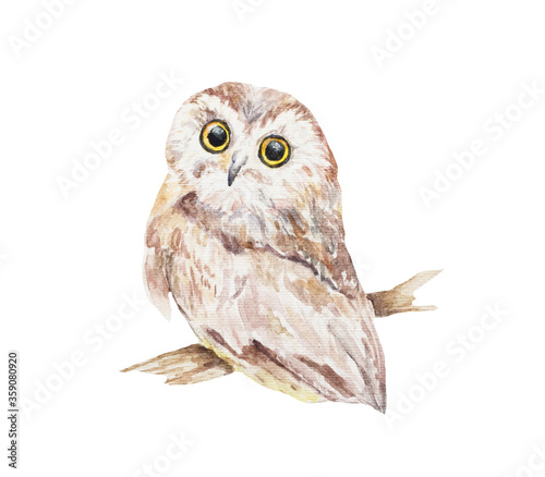 Watercolor illustration. Owl on an isolated white background.