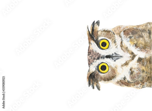 Watercolor illustration. Owl on an isolated white background.