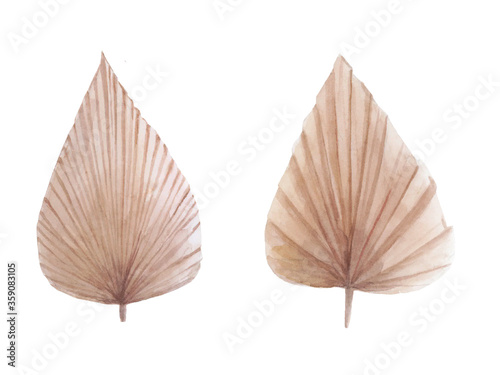 Exotic dried leaves in watercolor