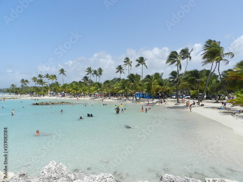 Plage de cocotiers à Sainte Anne Guadeloupe