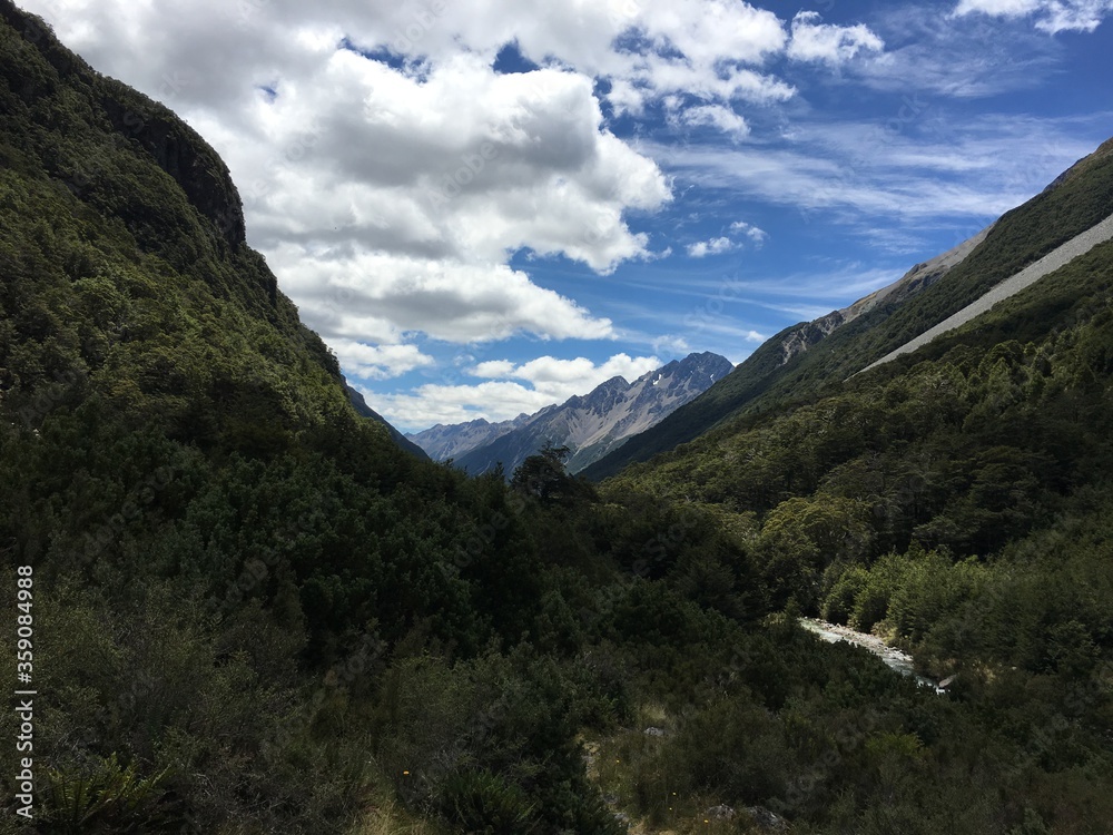 Fototapeta premium amazing mountain and forest