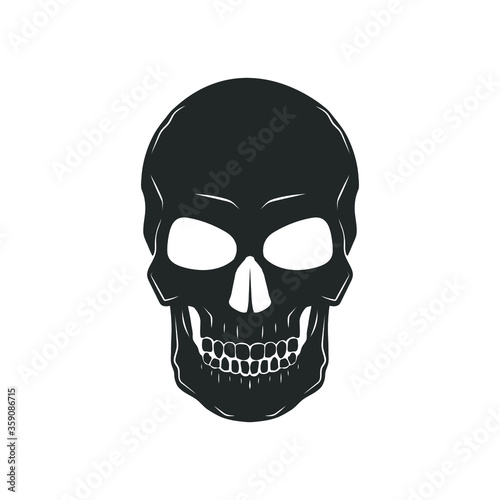 Human skull isolated on white. Vector illustration.