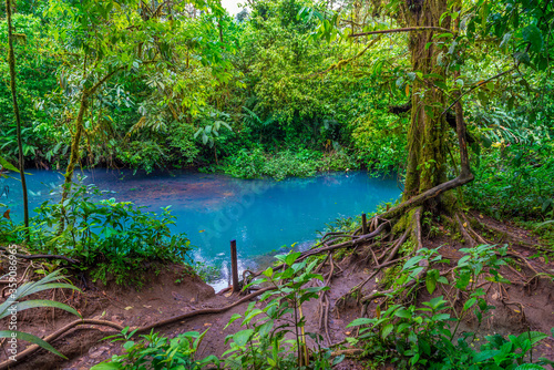 Rio Celeste with turquoise river, blue water. Tenorio national park Costa Rica. Central America. © Valerija Dmitrijeva