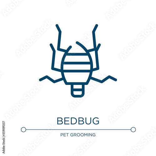 Bedbug icon. Linear vector illustration from insects collection. Outline bedbug icon vector. Thin line symbol for use on web and mobile apps, logo, print media.