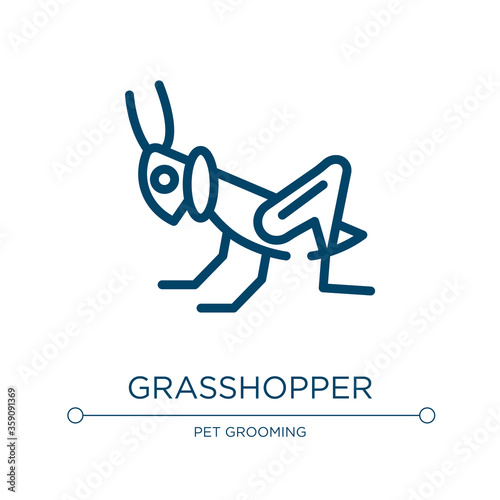 Grasshopper icon. Linear vector illustration from insects collection. Outline grasshopper icon vector. Thin line symbol for use on web and mobile apps, logo, print media.