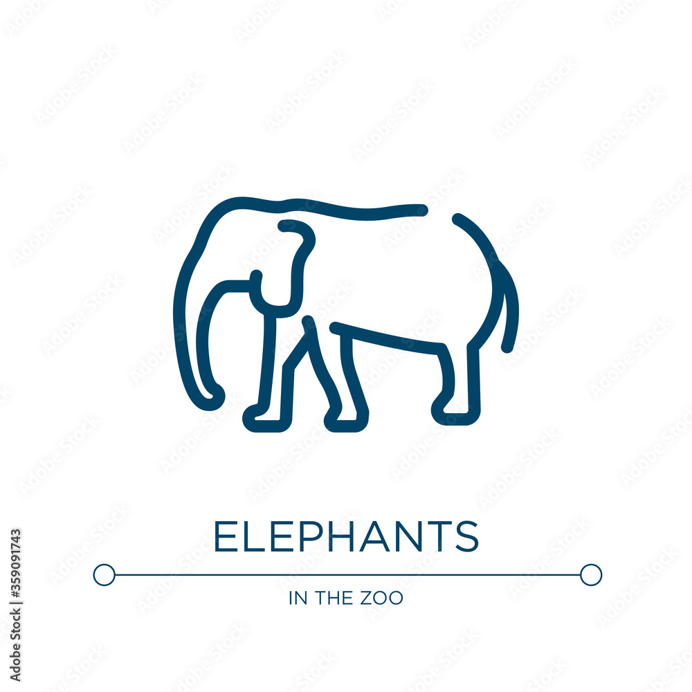 Elephants icon. Linear vector illustration from in the zoo collection. Outline elephants icon vector. Thin line symbol for use on web and mobile apps, logo, print media.