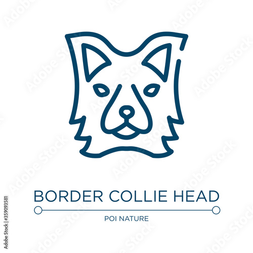 Border collie head icon. Linear vector illustration from woof woof collection. Outline border collie head icon vector. Thin line symbol for use on web and mobile apps, logo, print media.