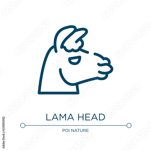 Lama head icon. Linear vector illustration from fauna collection. Outline lama head icon vector. Thin line symbol for use on web and mobile apps, logo, print media.