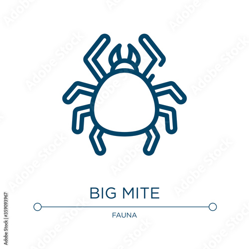 Big mite icon. Linear vector illustration from fauna collection. Outline big mite icon vector. Thin line symbol for use on web and mobile apps, logo, print media.