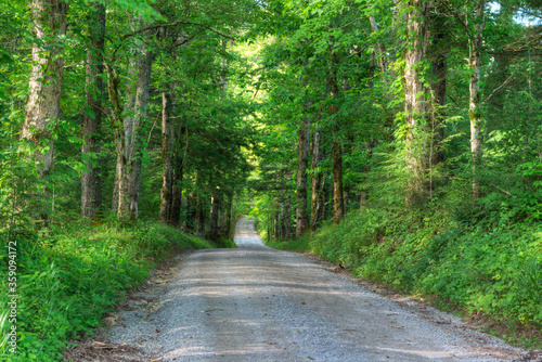 The scenic roads of Cades Cove in summer colors.