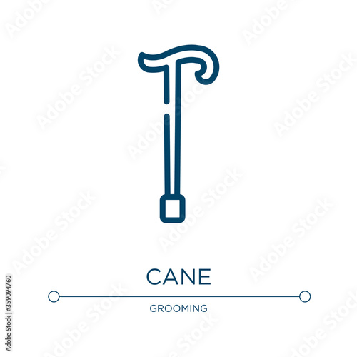 Cane icon. Linear vector illustration from hipster collection. Outline cane icon vector. Thin line symbol for use on web and mobile apps, logo, print media.