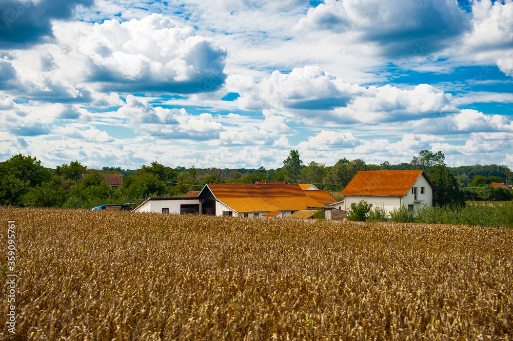 Fototapeta premium It's Landscape of the Serbian village