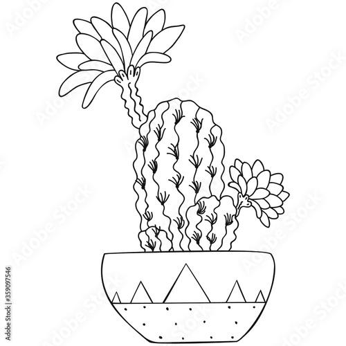 Black and white stylized flowering Echinopsis with spines and flowers. Home tropical parting in a patterned pot. Scandinavian style. Template for logo, coloring book and print. Vector.