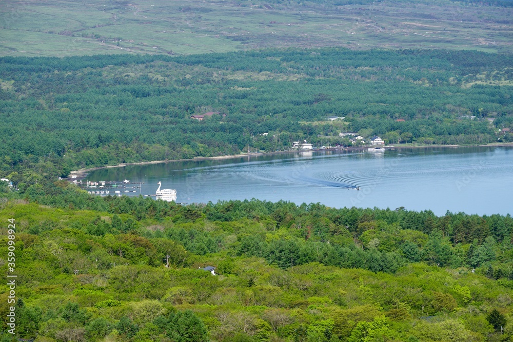 展望台から眺める新緑の山中湖湖畔