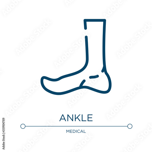 Ankle icon. Linear vector illustration from plastic surgery collection. Outline ankle icon vector. Thin line symbol for use on web and mobile apps, logo, print media.