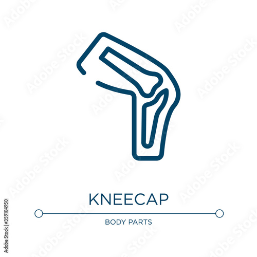 Kneecap icon. Linear vector illustration from body parts collection. Outline kneecap icon vector. Thin line symbol for use on web and mobile apps, logo, print media.