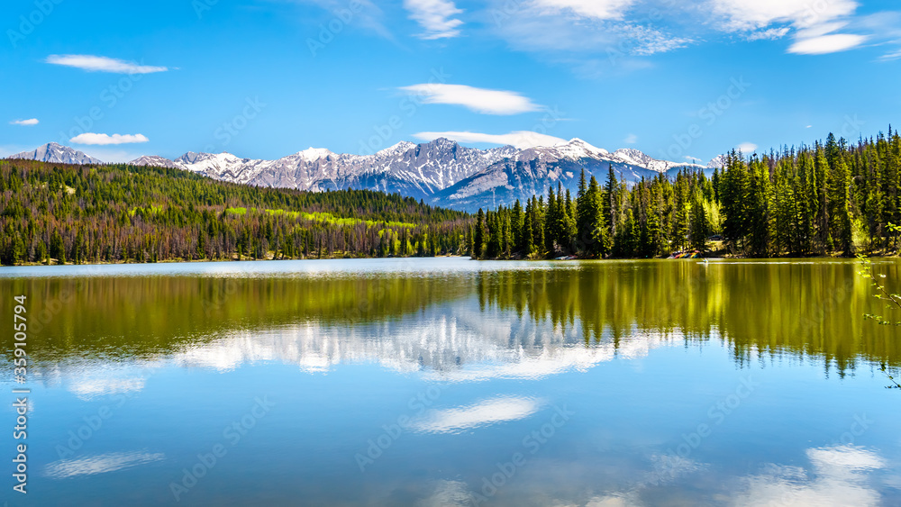 Reflection of the Colin Mountain Range in Pyramid Lake in Jasper National Park in Alberta, Canada. The brown trees on the slopes are Pine Trees destroyed by the Pine Beetle