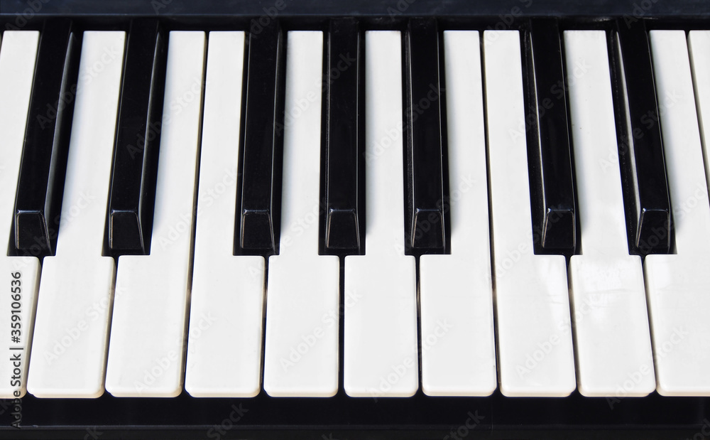 keyboard musical instruments for musicians keyboard musical instruments for musicians