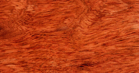 Solid Brazilian cherry wood texture background in filled frame format