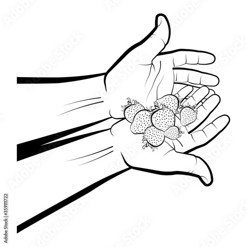 man holds ripe juicy strawberries in his palms. Summer fruits and vitamins. Sweet treat for children. Isolated vector on white background