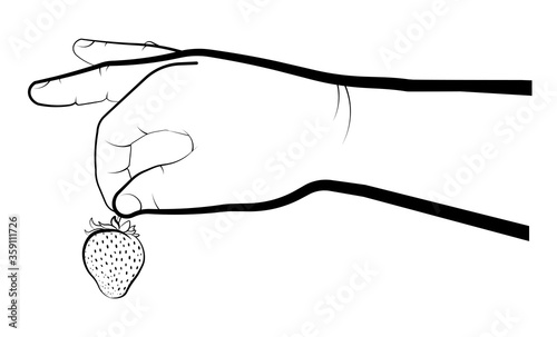 children hand holds a strawberry. Summer berries, ripe juicy fruts. Cooking desserts. Isolated vector on white background
